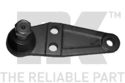 nk-5044810