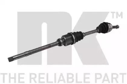nk-509908