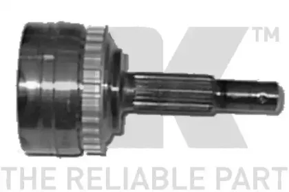 nk-513619