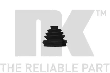 nk-523905