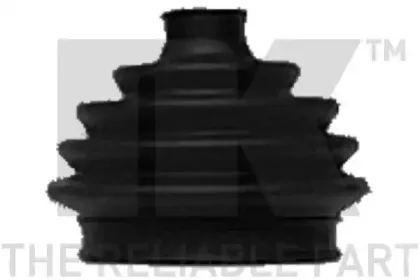 nk-524719