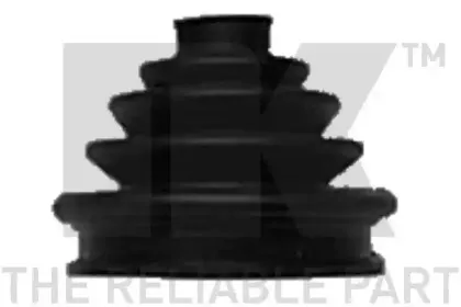 nk-524807