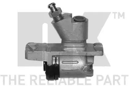 nk-809919