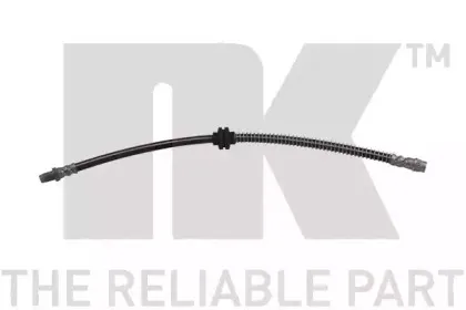 nk-853981