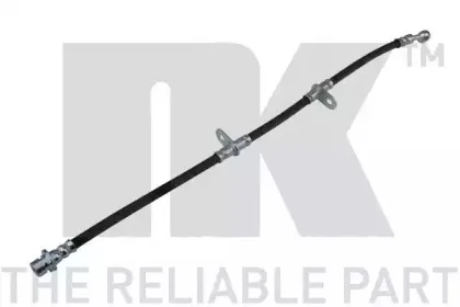 nk-854019