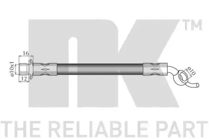 nk-8545168