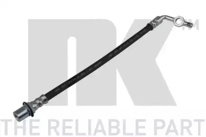 nk-854527