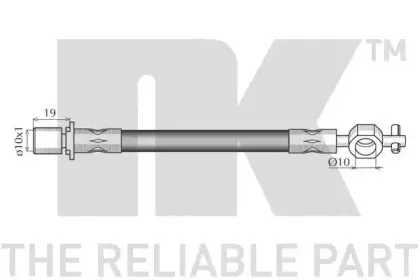 nk-854536