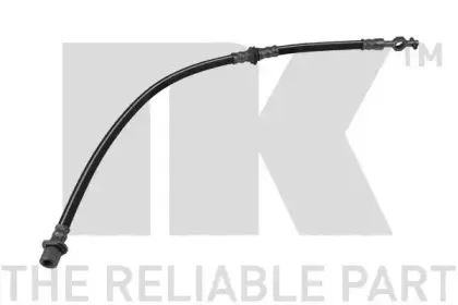 nk-854576