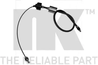 nk-923918