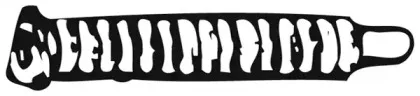 fonos-04562