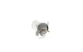 fonos-616404