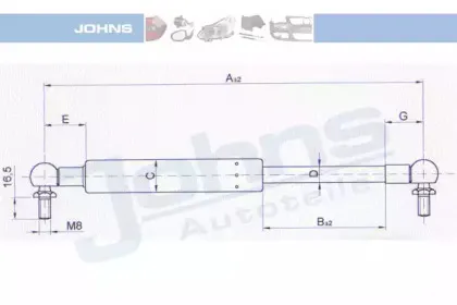 johns-27289595