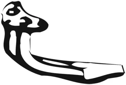 walker-01091