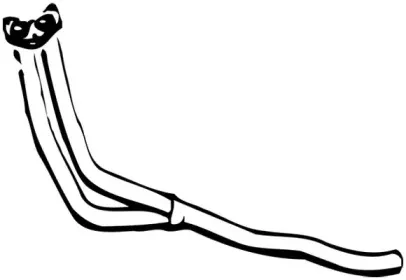 walker-01465