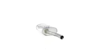 walker-01767