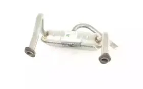 walker-04356