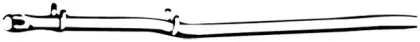 walker-04481