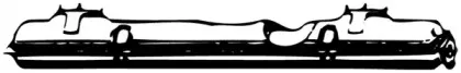 walker-04551