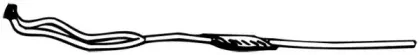 walker-04915