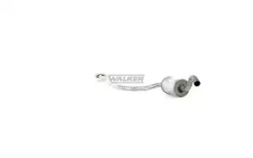 walker-13754