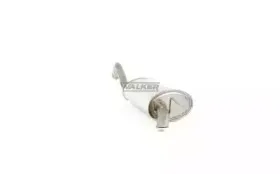 walker-15527