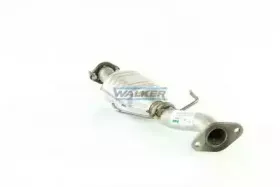 walker-18371