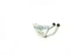walker-20004