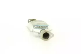 walker-20133