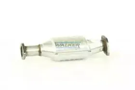 walker-20133
