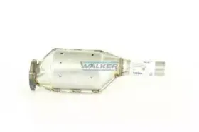 walker-20145