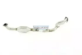 walker-20248