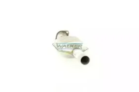 walker-20259