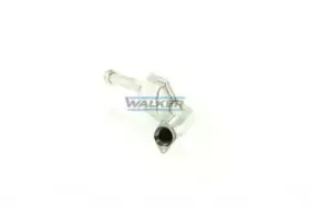 walker-20318