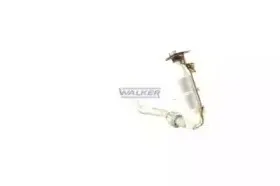 walker-20331