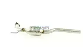walker-20334