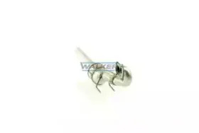walker-20376