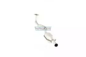 walker-20431