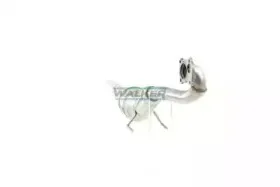 walker-20539