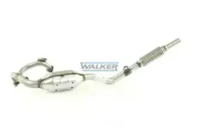 walker-20683