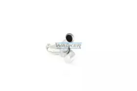 walker-20762