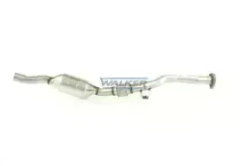 walker-20943