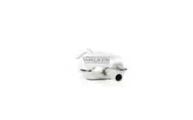 walker-21316