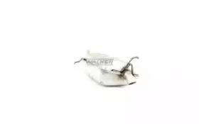 walker-22857