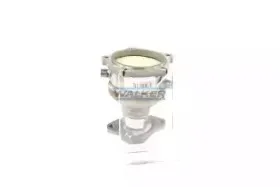 walker-28059