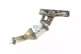 walker-28182