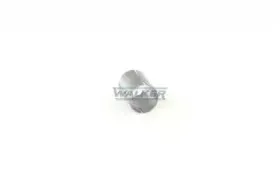 walker-86154