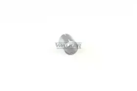 walker-86154