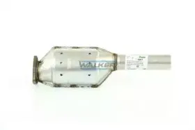 walker-15871