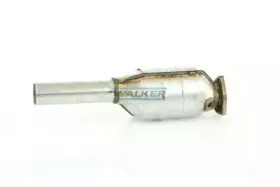 walker-15871